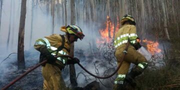 plan contra incendios forestales