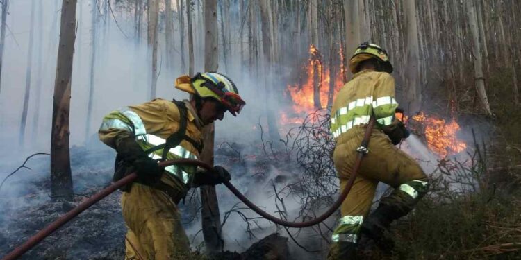 plan contra incendios forestales