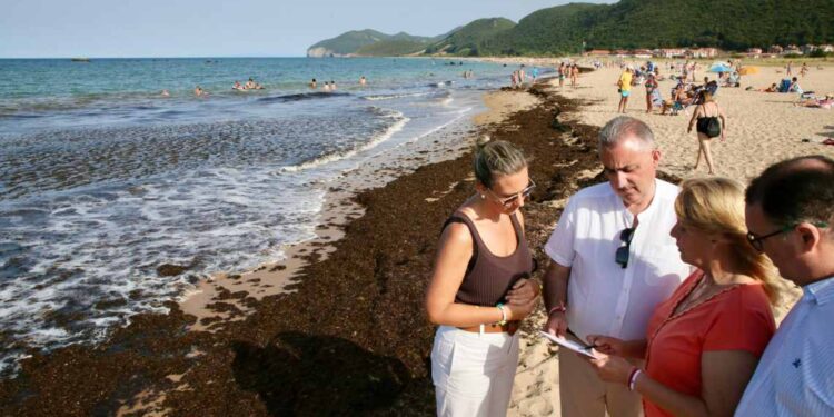 Playas de Noja