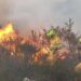 Riesgo de incendios forestales en Cantabria