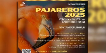 Documental Pajareros