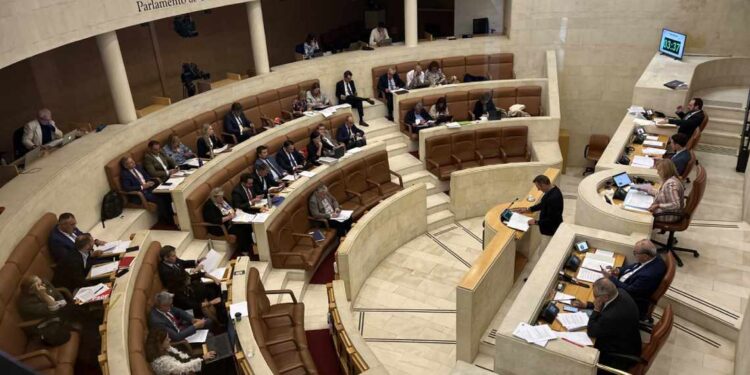 Pleno del Parlamento de Cantabria sobre la Ley de Voluntariado
