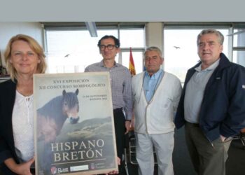 Raza Hispano-Bretona