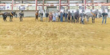 XXV Concurso Morfológico de Torrelavega