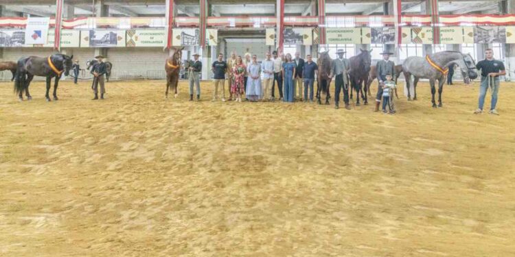 XXV Concurso Morfológico de Torrelavega