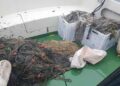 Redes ilegales incautadas en las marismas de Santoña