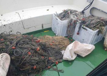 Redes ilegales incautadas en las marismas de Santoña