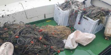 Redes ilegales incautadas en las marismas de Santoña