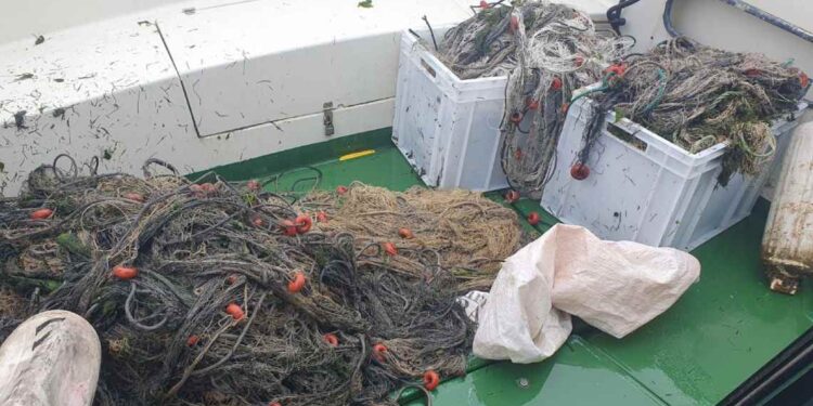 Redes ilegales incautadas en las marismas de Santoña
