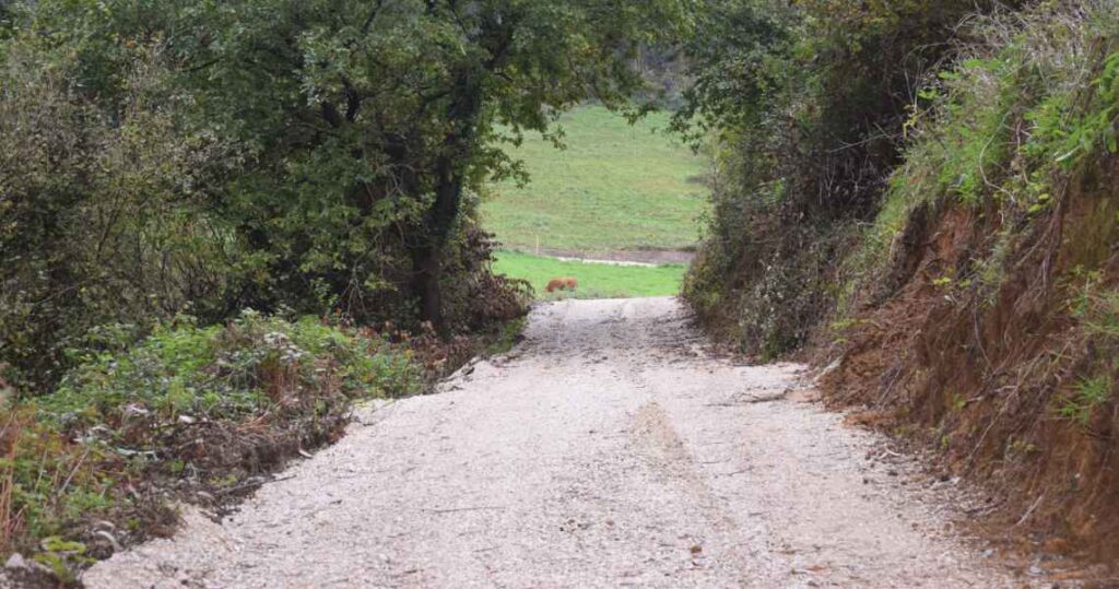 Obra camino vecinal mortera