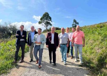 Restauración ecológica en el monte La Picota