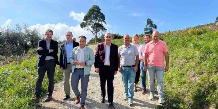 Restauración ecológica en el monte La Picota