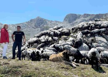 Vacunas Cantabria no registra casos de EHE