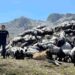 Vacunas Cantabria no registra casos de EHE