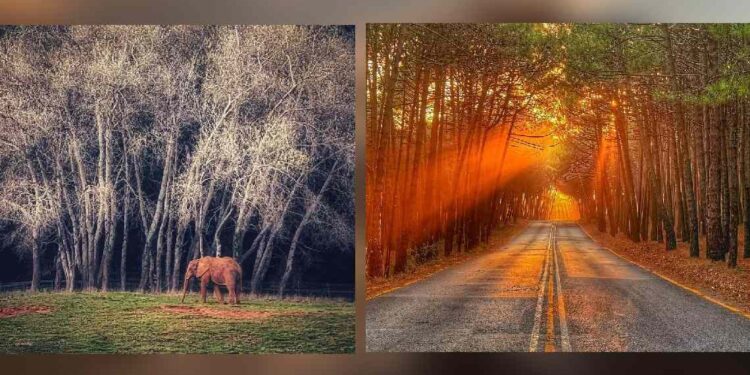 Ganadores cántabros concurso Mi Rincon Favorito