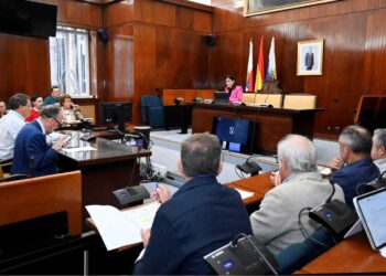 IMD presupuesto 2026