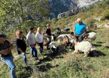 Desarrollo Rural Tresviso