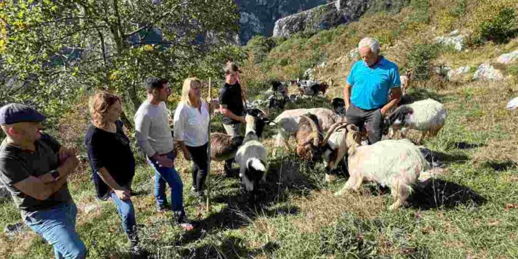 Desarrollo Rural Tresviso