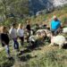 Desarrollo Rural Tresviso