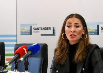 Servicio de limpieza de solares insalubres