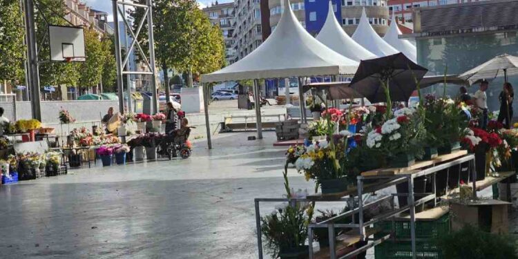 Mercado de las Flores