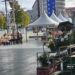 Mercado de las Flores