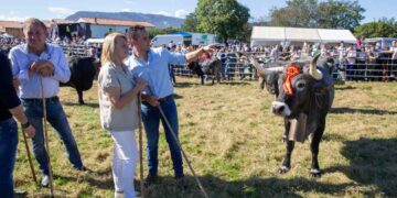 Olimpiada Tudanco Cabezón de la Sal