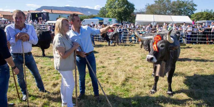 Olimpiada Tudanco Cabezón de la Sal