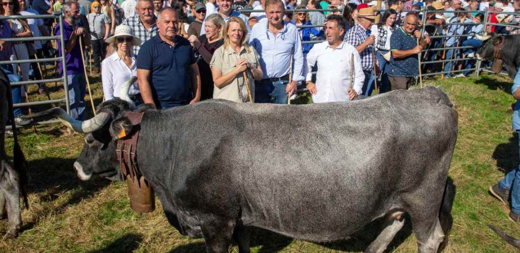 Olimpiada del Tudanco en Cabezón de la Sal