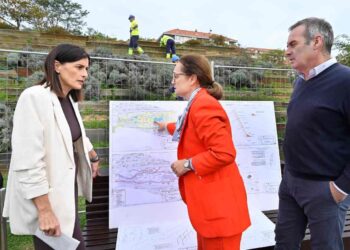mejorar las estructuras metálicas del Parque de Las Llamas