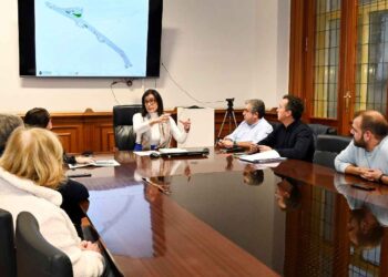 Reforma Cuesta de las Ánimas