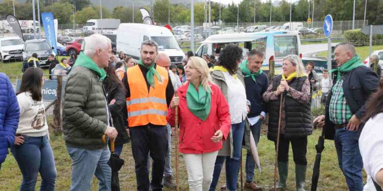 VII Concentración de Ganado Trasmerano de Anero
