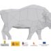 Pintado de cinco esculturas de bisontes