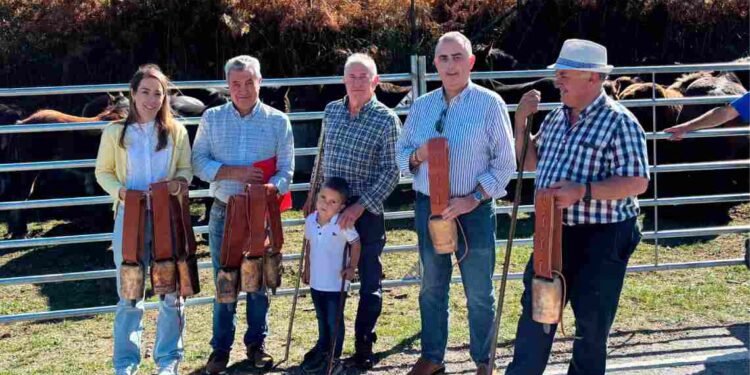 Ganado equino en Polaciones