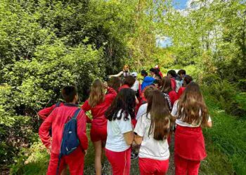 Fundación Camino Lebaniego