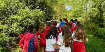 Fundación Camino Lebaniego