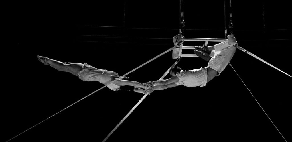 programación circense en el palacio de festivales