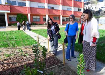 Escolares se beneficiarán de los proyectos de mejora de los patios escolares