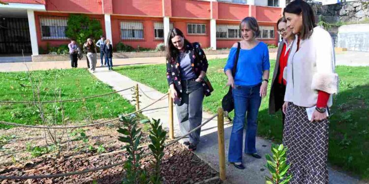 Escolares se beneficiarán de los proyectos de mejora de los patios escolares