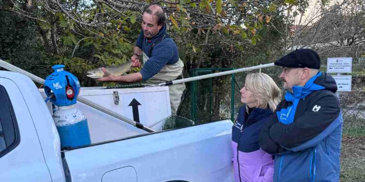 Control de Salmones y truchas