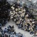Mariscadores de percebe