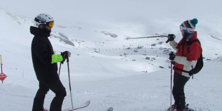 Alto Campoo