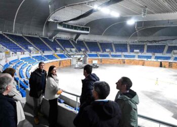 mejora de la cubierta del Palacio de Deportes