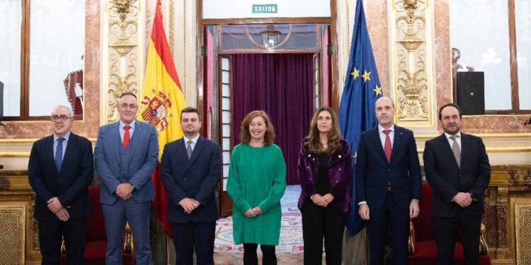 Sesión del Congreso sobre la reforma del Estatuto