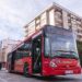 Torrebus gratis