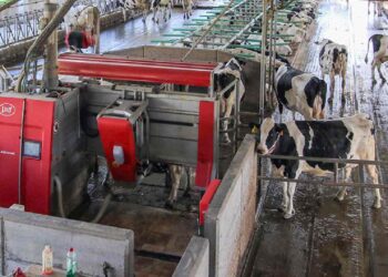 Ayudas para modernizar las explotaciones agrarias