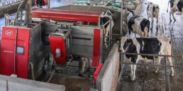 Ayudas para modernizar las explotaciones agrarias