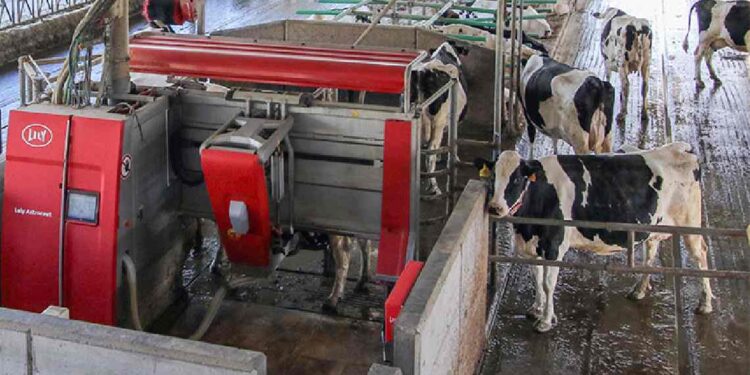 Ayudas para modernizar las explotaciones agrarias