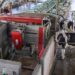 Ayudas para modernizar las explotaciones agrarias