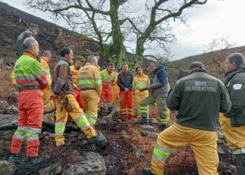 Incendios forestales